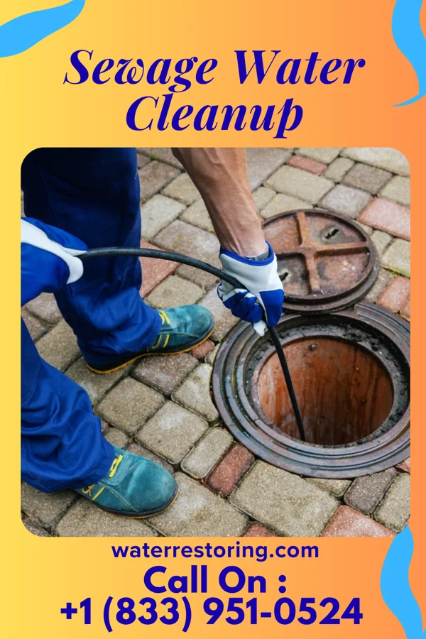 Sewage Water Cleanup in Hubbard, MN